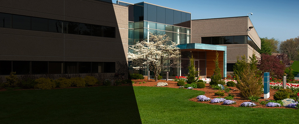 Paramount Landscapers