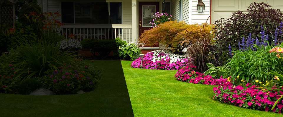 Paramount Landscapers