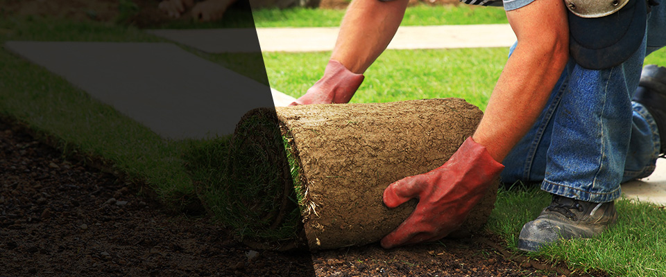 Paramount Landscapers